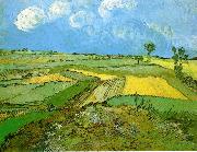 Wheat Fields at Auvers Under Clouded Sky Vincent Van Gogh